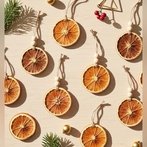 FREE Custom Label + Gift Wrap | DIY Dried Orange Ornament Kit 🍊 | 6 Count Set